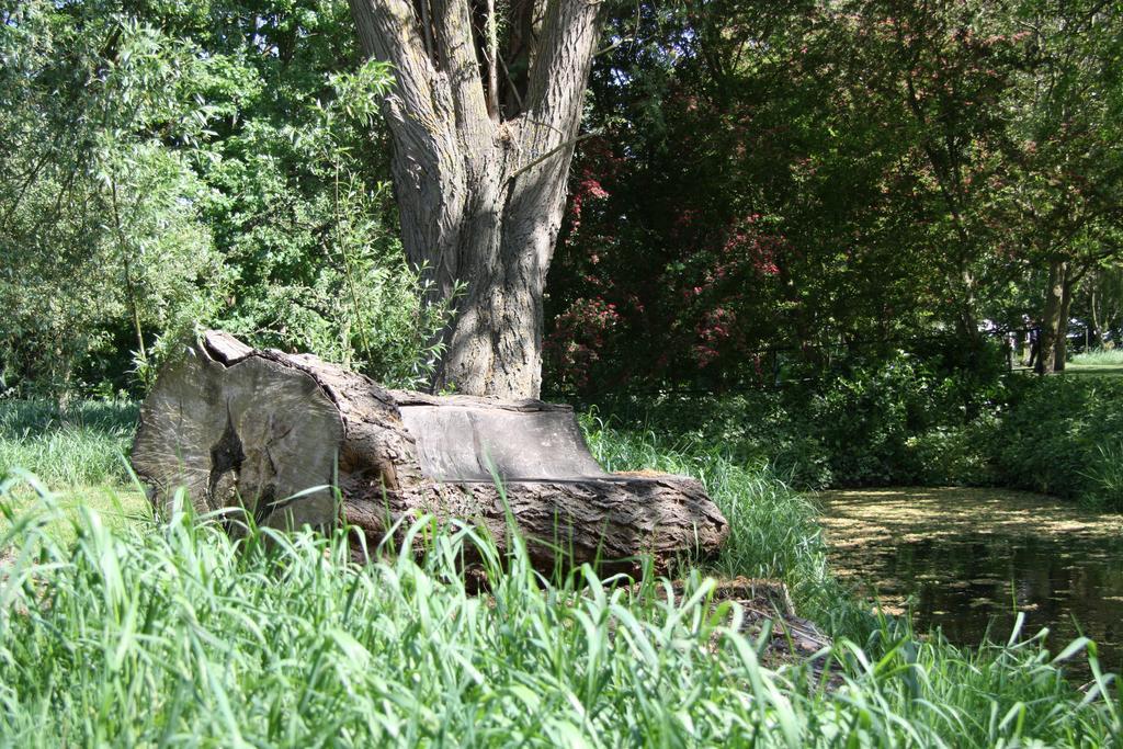 Heenvliet 'T Koetshuysヴィラ エクステリア 写真